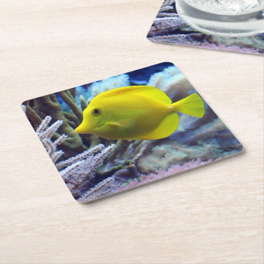 美しい水中黄唐魚とサンゴ スクエアペーパーコースター (アングル)