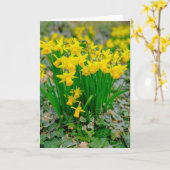 美しい水仙のグリーティングカード カード (黄色い花)