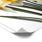 美しい水仙の花ポスター壁の装飾 ポスター (角)