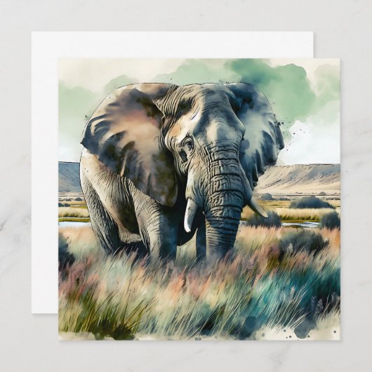 美しい水彩象 (正面/裏面)