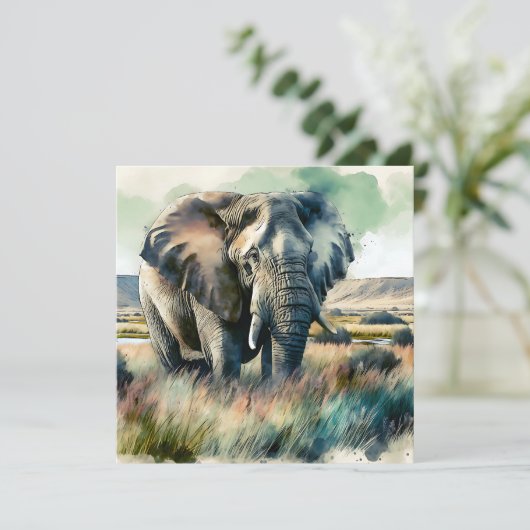 美しい水彩象 (スタンド正面)