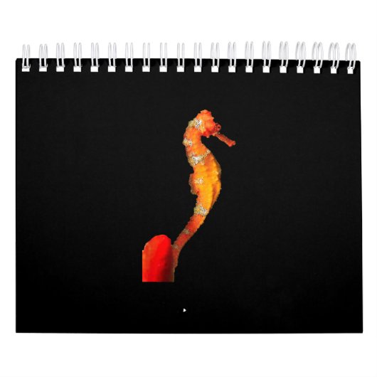 美しい水泳用水上姿オンフロント カレンダー (カバー)