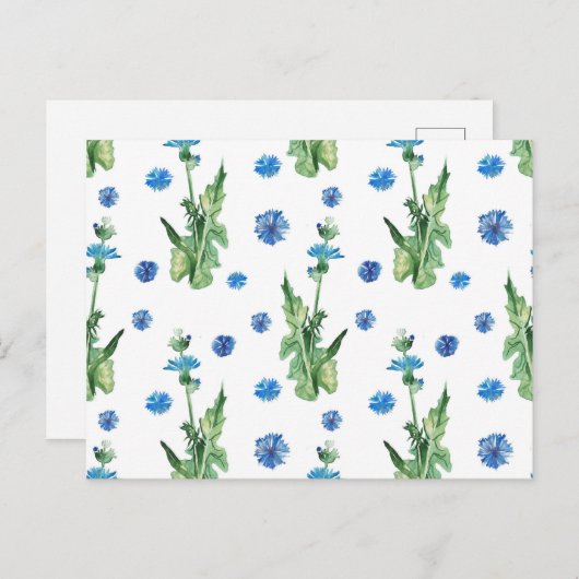美しい水色のコーンフラワーパターン ポストカード (正面/裏面)