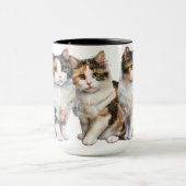 美しい水色の三毛猫 マグカップ (中央)