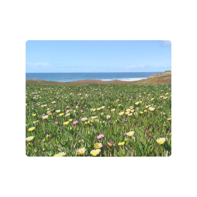 美しい沿岸の花 メタルプリント (正面)