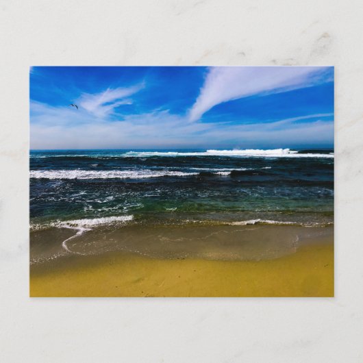 美しい沿岸カリフォルニア用はがき ポストカード (正面)