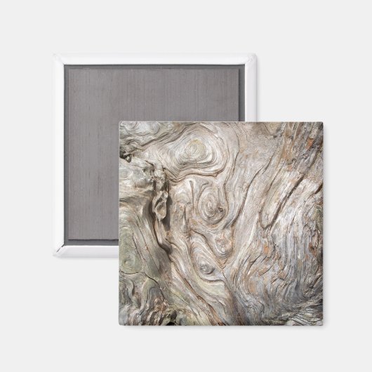 美しい流木の自然のアートワーク マグネット (正面/裏面)