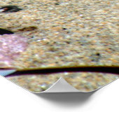 美しい海の星と緑のアネモネの写真 ポスター (角)