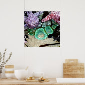 美しい海の星と緑のアネモネの写真 ポスター (キッチン)