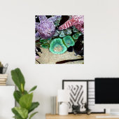 美しい海の星と緑のアネモネの写真 ポスター (ホームオフィス)