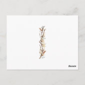 美しい海ピンクフラミンゴスパームツリーズサンド ポストカード (裏面)