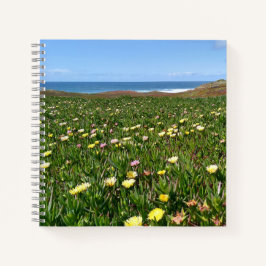 美しい海岸花/海ビューフォト ノートブック
