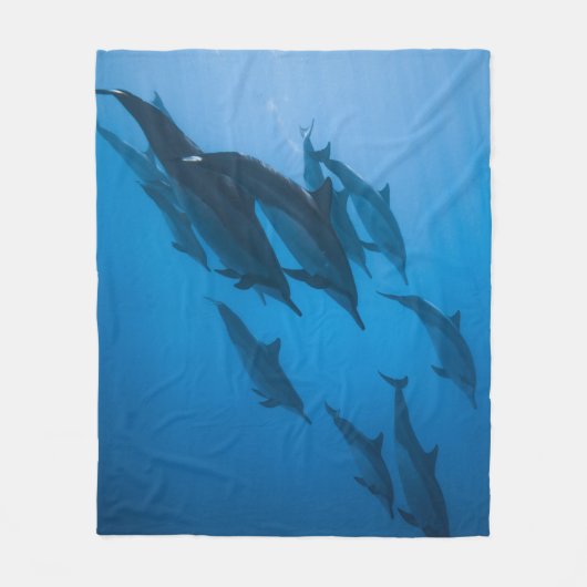 美しい海 フリースブランケット (正面)