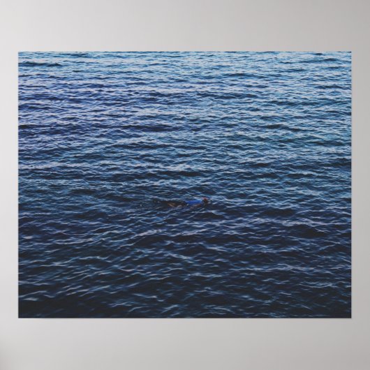 美しい海 ポスター (正面)