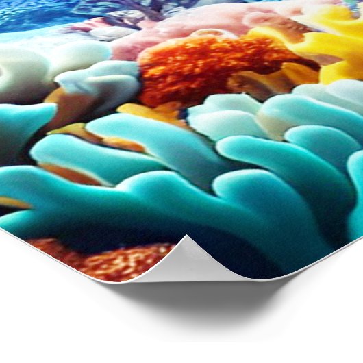 美しい海 ポスター (角)