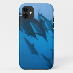 美しい海 iPhone 11 ケース