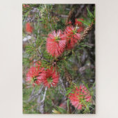 美しい深いピンクオーストラリアのボトルブラシ ジグソーパズル (縦)