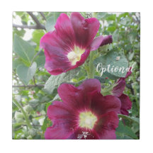 美しい深い赤い花と緑離れの