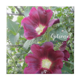 美しい深い赤い花と緑離れの タイル