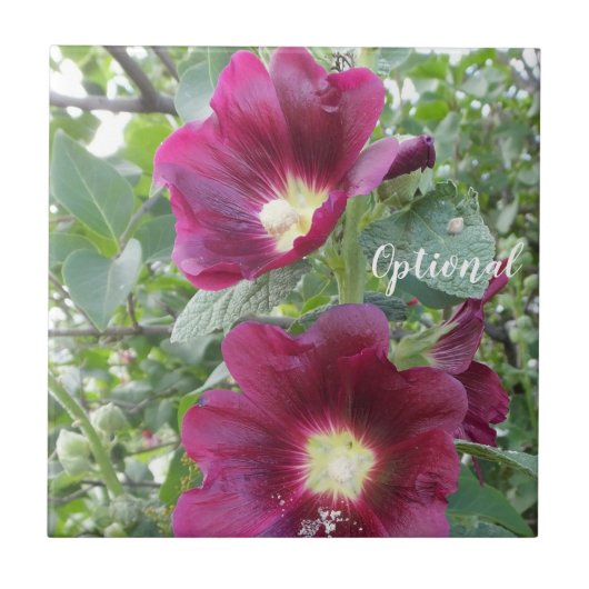 美しい深い赤い花と緑離れの タイル (正面)