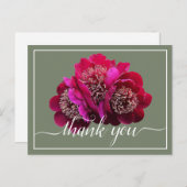 美しい深紅牡丹の色背景ありがとう ポストカード (正面/裏面)