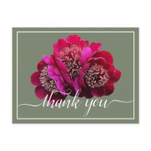 美しい深紅牡丹の色背景ありがとう