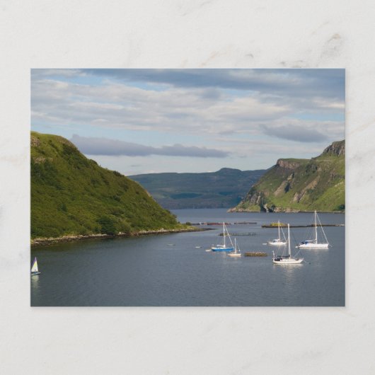 美しい港と反射付きの帆船 ポストカード (正面)