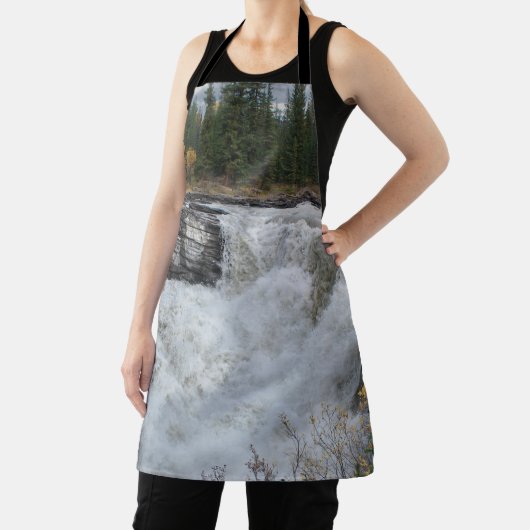 美しい滝、カナダアタバスカ滝 エプロン (インサイチュ)