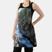 美しい滝、カナダスタンレー滝 エプロン (インサイチュ)