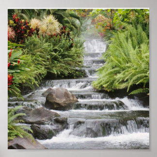 美しい滝 ポスター