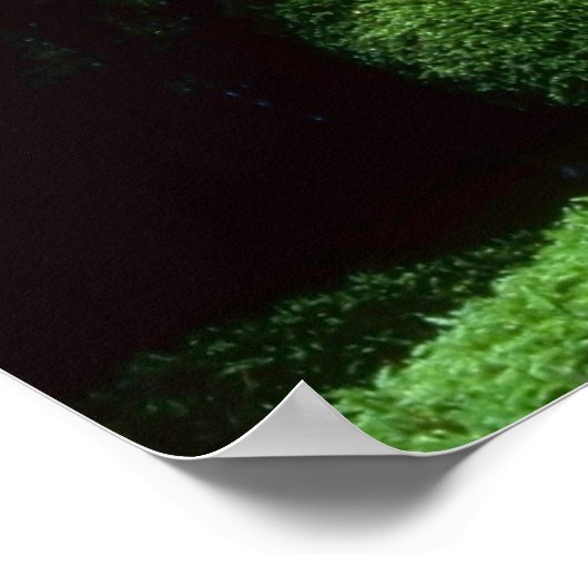 美しい滝 ポスター (角)