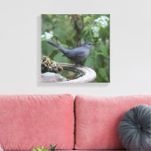 美しい灰色のキャットバードパ包まれたネル キャンバスプリント (インサイチュ (リビング))