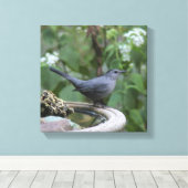 美しい灰色のキャットバードパ包まれたネル キャンバスプリント (インサイチュ (ウッドフロア))