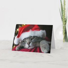 美しい灰色のクリスマスの子猫猫 シーズンカード