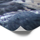 美しい灰色の白ペレグリン《鳥》ハヤブサ ポスター (角)