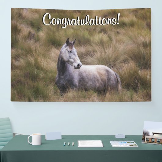美しい灰色の馬の追加文字 横断幕 (トレードショー)