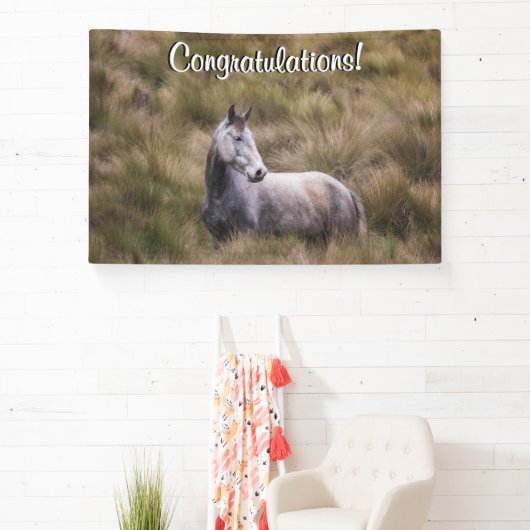 美しい灰色の馬の追加文字 横断幕 (インサイチュ)