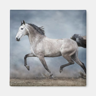 美しい灰色の馬ドラマチックな空の砂風景 マグネット