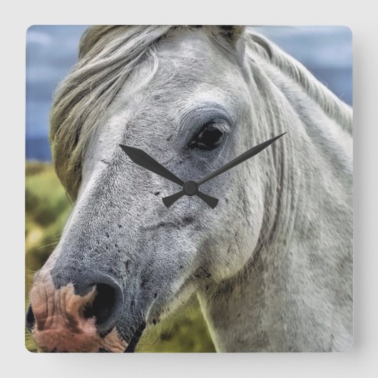 美しい灰色の馬時計 スクエア壁時計 (正面)