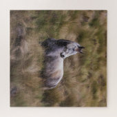 美しい灰色の馬 ジグソーパズル (横)