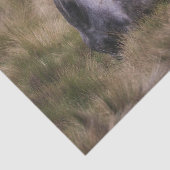 美しい灰色の馬 薄葉紙 (詳細)