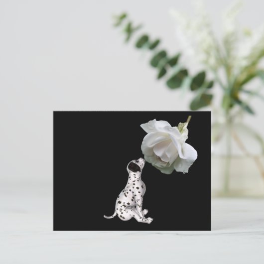 美しい無実ダルマチアンおよびバラはがき ポストカード (スタンド正面)