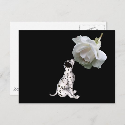 美しい無実ダルマチアンおよびバラはがき ポストカード (正面/裏面)