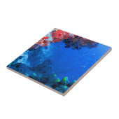 美しい熱カラフル帯サンゴ礁 タイル (側面)