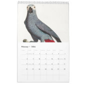 美しい熱カラフル帯パロット カレンダー (2月 2026)