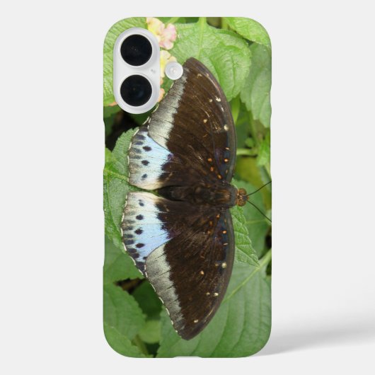 美しい熱帯の蝶 Case-Mate iPhoneケース (裏面)