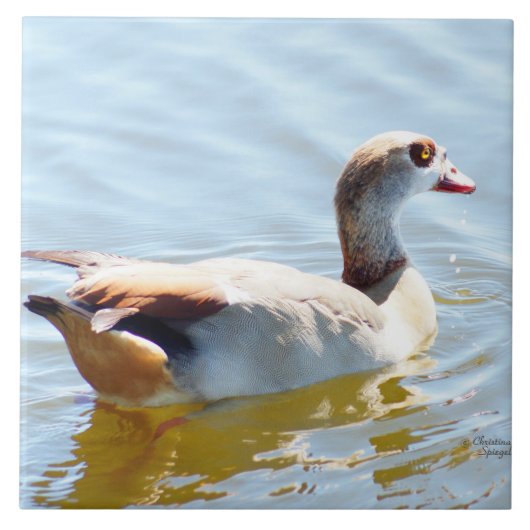 美しい熱帯アヒルのタイル タイル (正面)