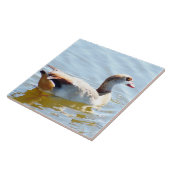 美しい熱帯アヒルのタイル タイル (側面)