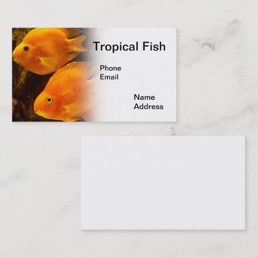 美しい熱帯オレンジ色の魚が付いているアクアリウム 名刺 (正面/裏面)