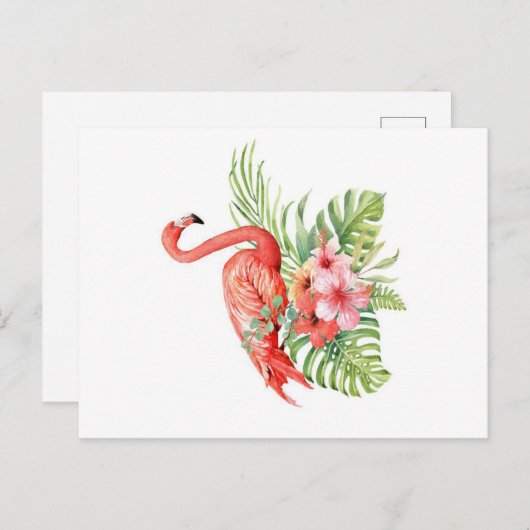 美しい熱帯フラミンゴ|贈素晴らしり物 案内ポストカード (正面/裏面)